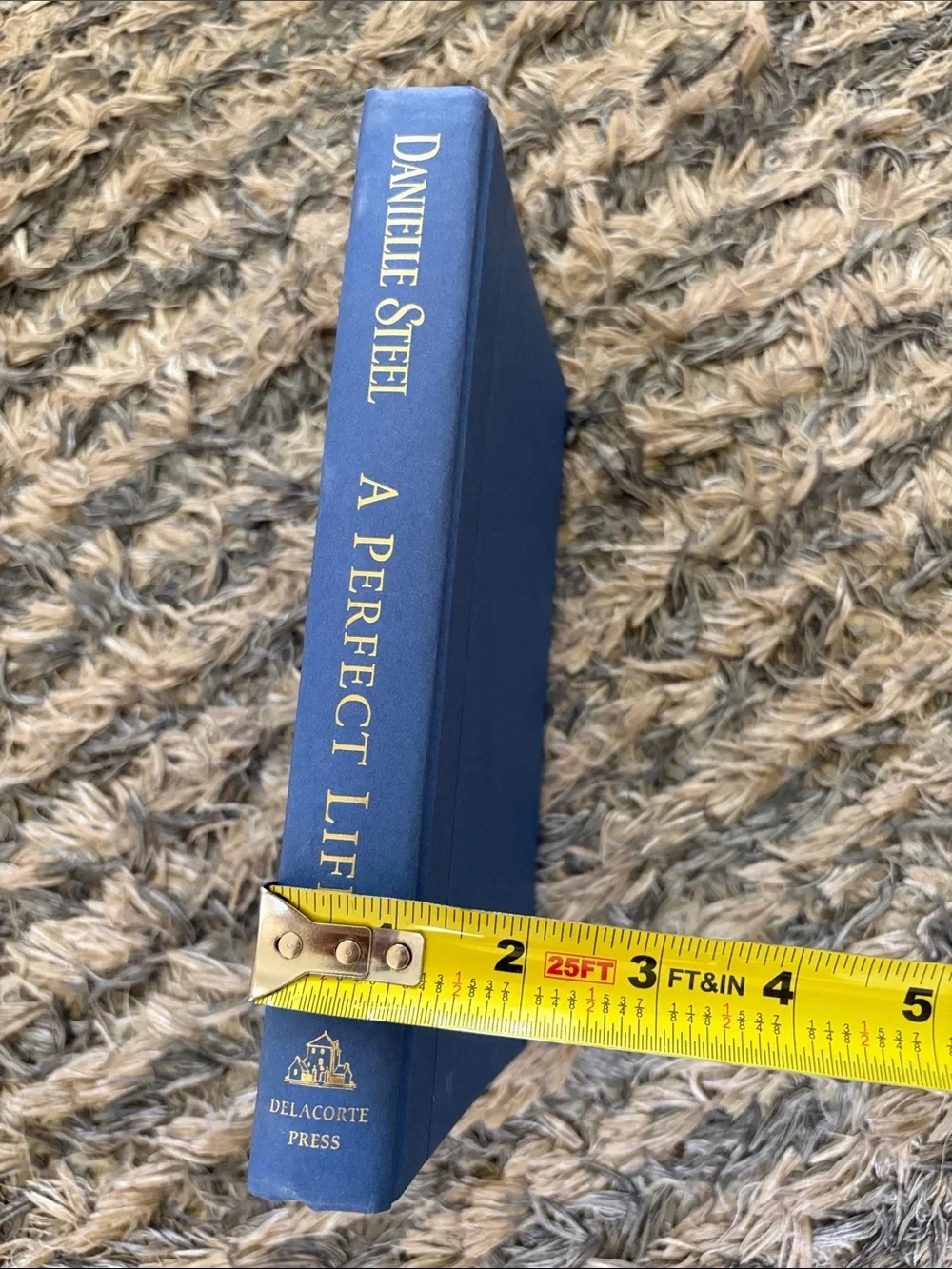Novel Book “A Perfect Life